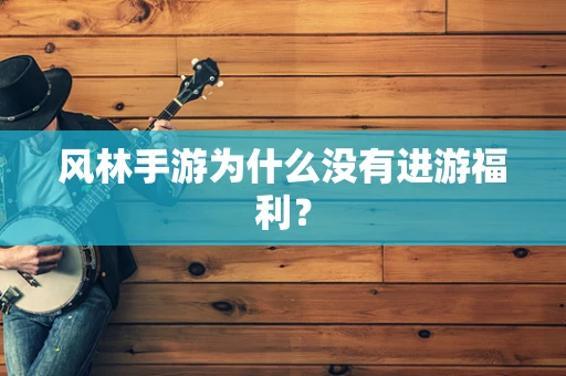风林手游为什么没有进游福利？