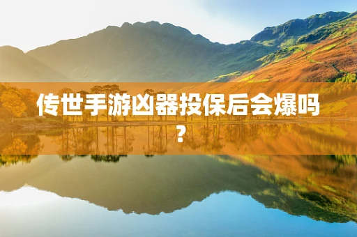 传世手游凶器投保后会爆吗？