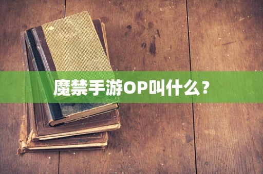 魔禁手游OP叫什么？