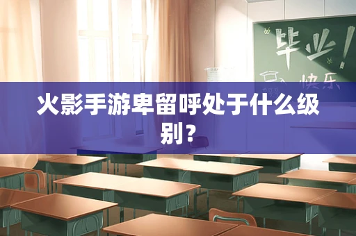 火影手游卑留呼处于什么级别？
