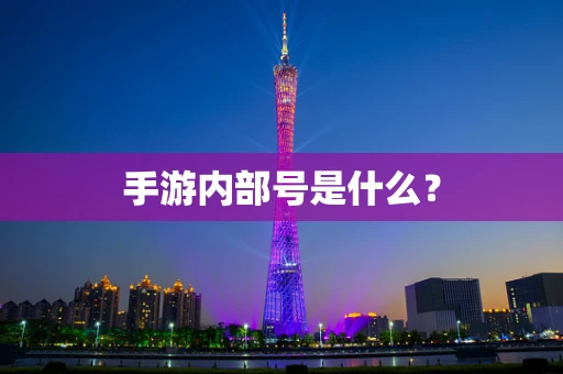 手游内部号是什么？
