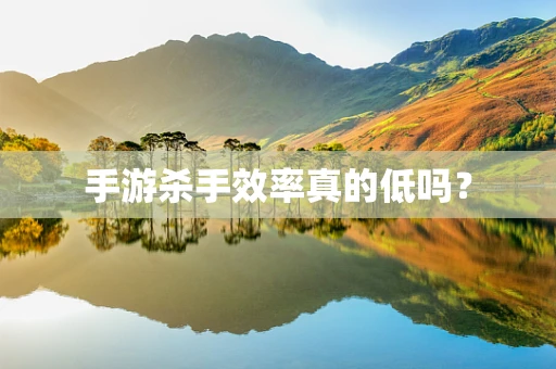 手游杀手效率真的低吗？