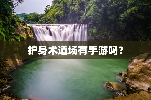 护身术道场有手游吗？