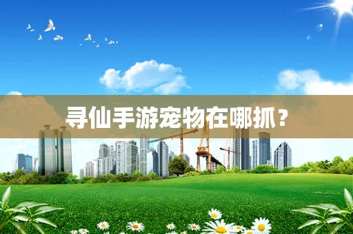 寻仙手游宠物在哪抓？