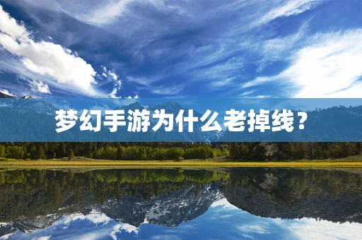梦幻手游为什么老掉线？