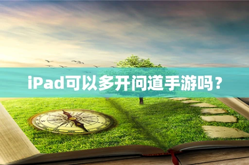 iPad可以多开问道手游吗？