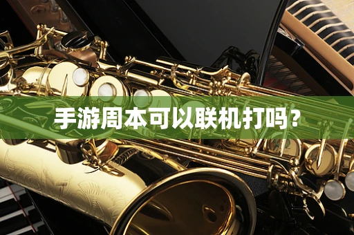 手游周本可以联机打吗？
