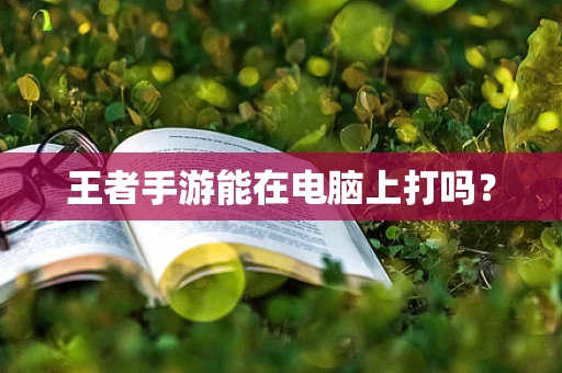 王者手游能在电脑上打吗？
