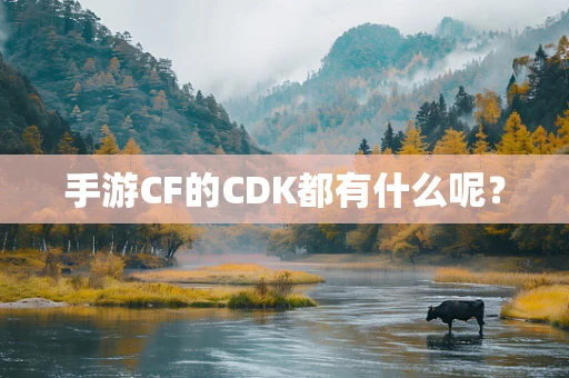 手游CF的CDK都有什么呢？