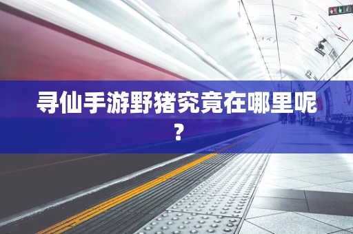 寻仙手游野猪究竟在哪里呢？
