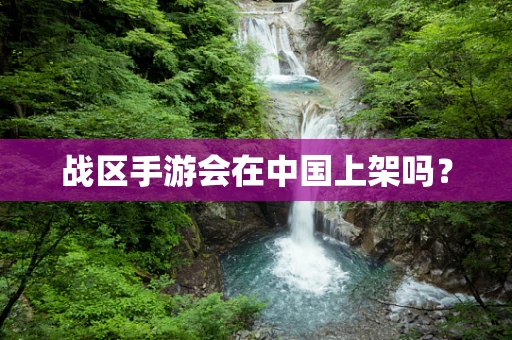 战区手游会在中国上架吗？