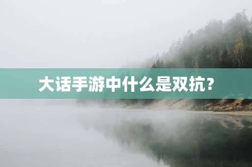 大话手游中什么是双抗？