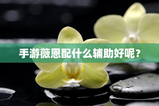 手游薇恩配什么辅助好呢？