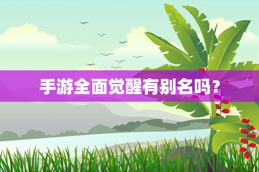手游全面觉醒有别名吗？
