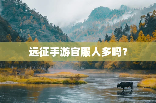 远征手游官服人多吗？