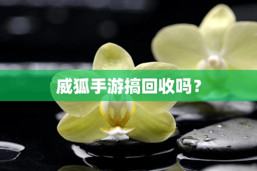 威狐手游搞回收吗？