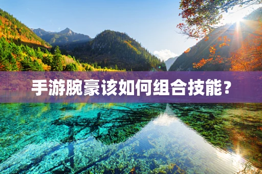 手游腕豪该如何组合技能？