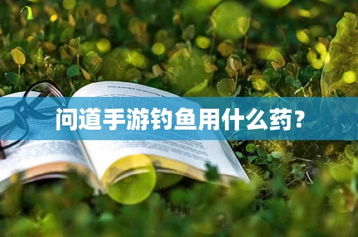 问道手游钓鱼用什么药？