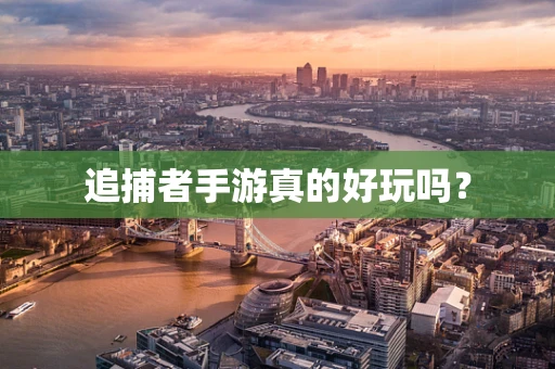 追捕者手游真的好玩吗？