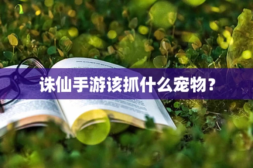 诛仙手游该抓什么宠物？