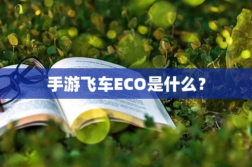 手游飞车ECO是什么？