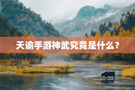 天谕手游神武究竟是什么？
