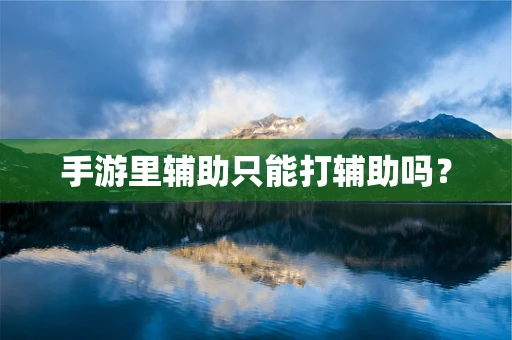 手游里辅助只能打辅助吗？