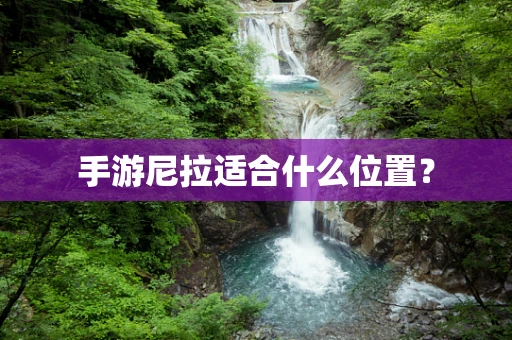 手游尼拉适合什么位置？