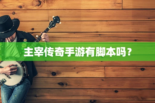 主宰传奇手游有脚本吗？